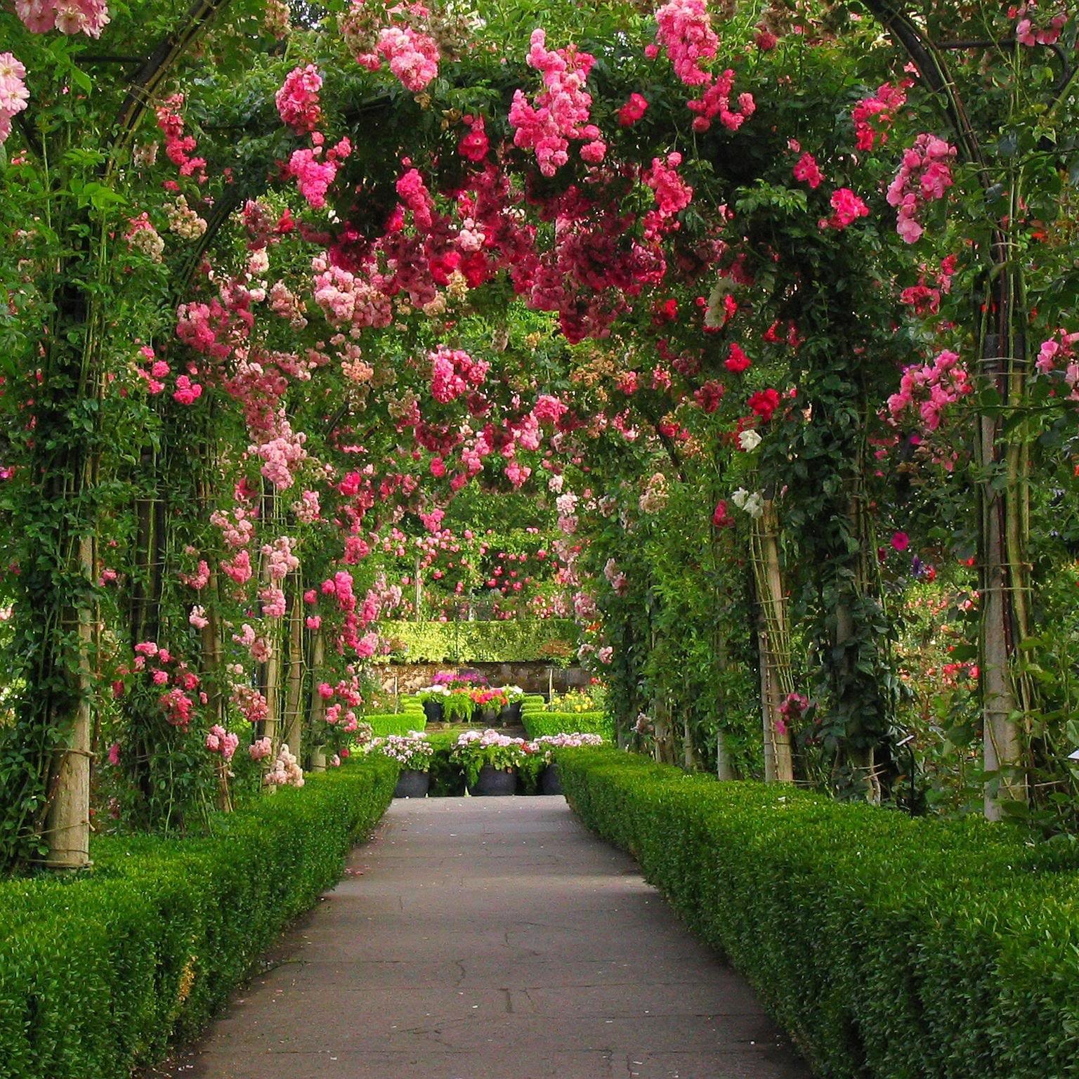 Красивые цветущие сады фото