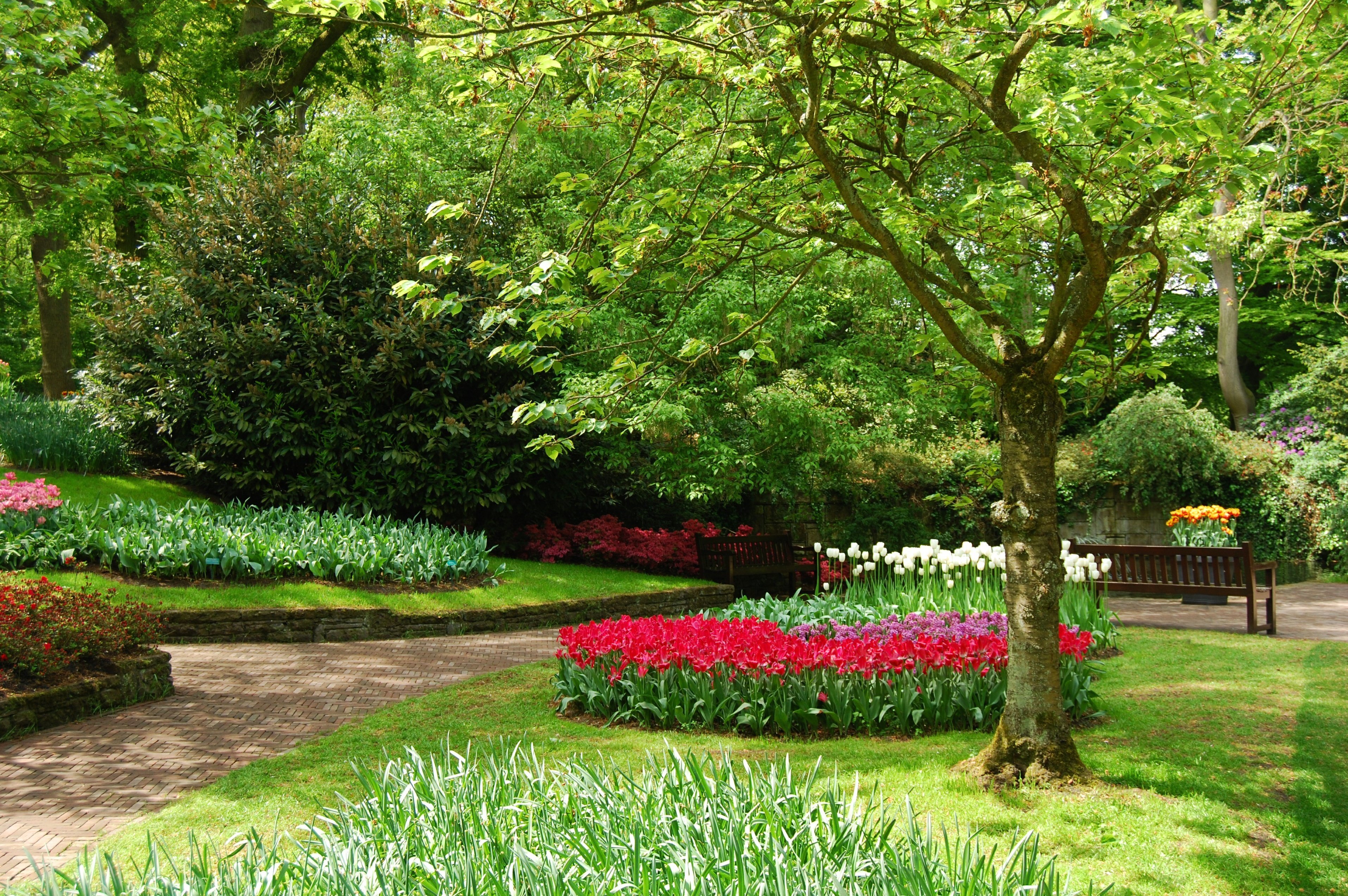 З саду. Весенний сад (Spring Topiary Garden). Флауэрс Гарден парк. Сады Бутчартов розарий. Сад Кавати Фудзи.