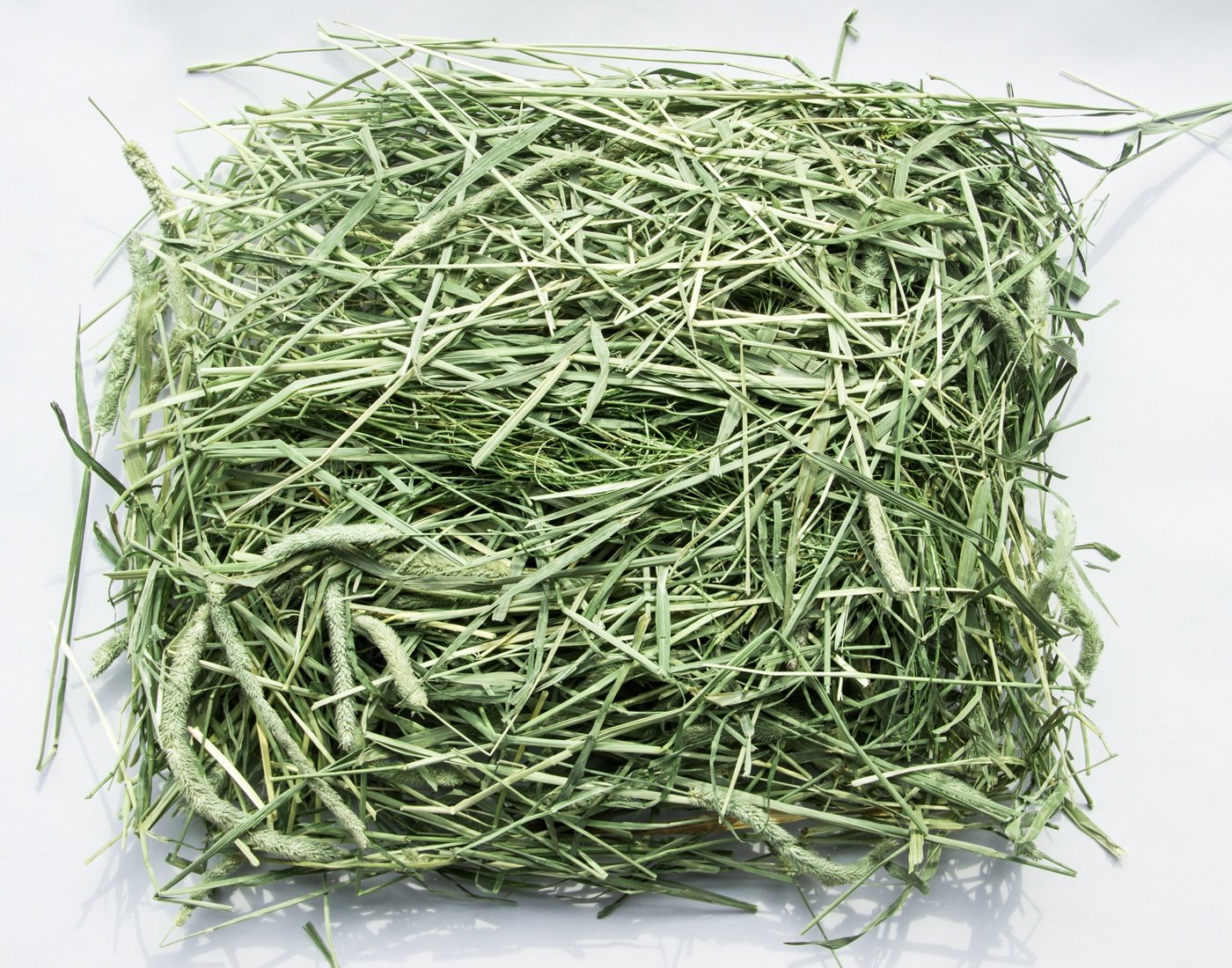 Сено для кишечника. Сено (Клевер+люцерна) 1 тюк. Люцерна трава тюкование. Сено для животных. Сено зеленое.
