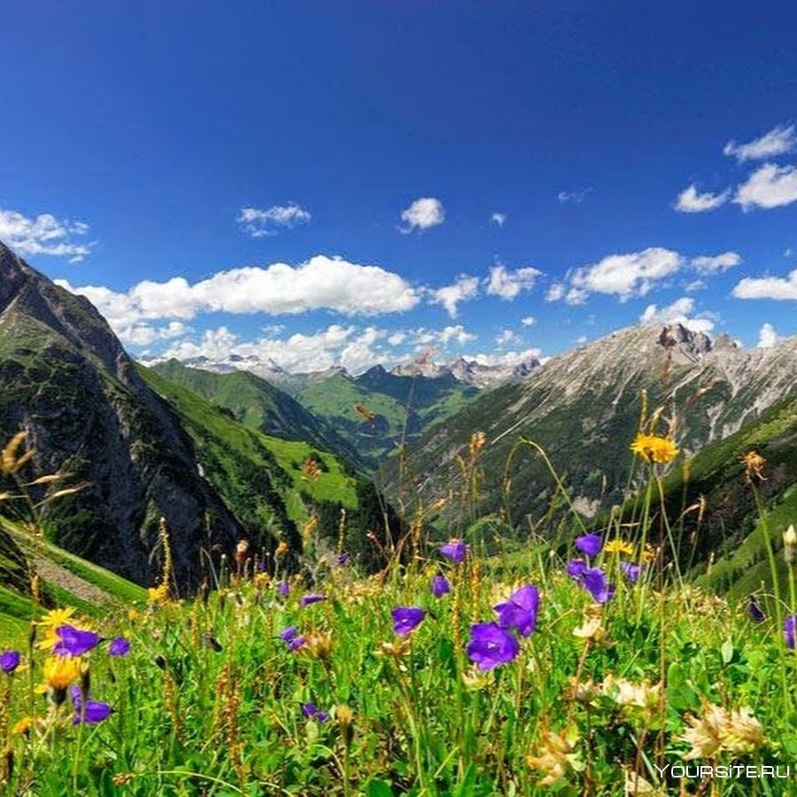 Швейцария Альпы Луга