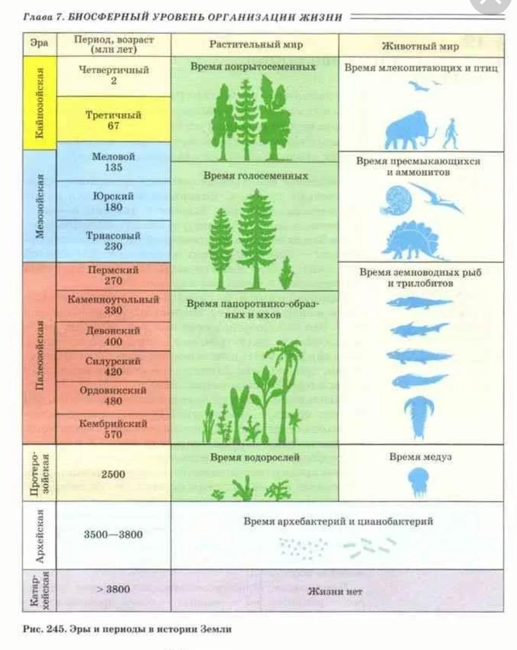 В каком периоде появляются растения. Эпохи и периоды развития жизни на земле. Геохронологическая таблица Эволюция растений. Эры развития земли в хронологическом порядке. Этапы развития жизни на земле эры.