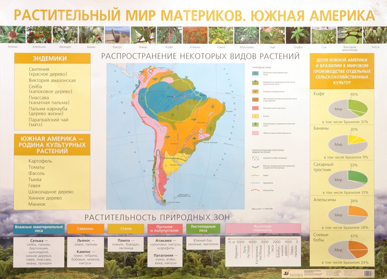 Природные особенности южных материков. Растительный и животный мир материка Южная Америка. Карта растительности Южной Америки. Растительный мир Южной Америки карта. Растительный мир материков.