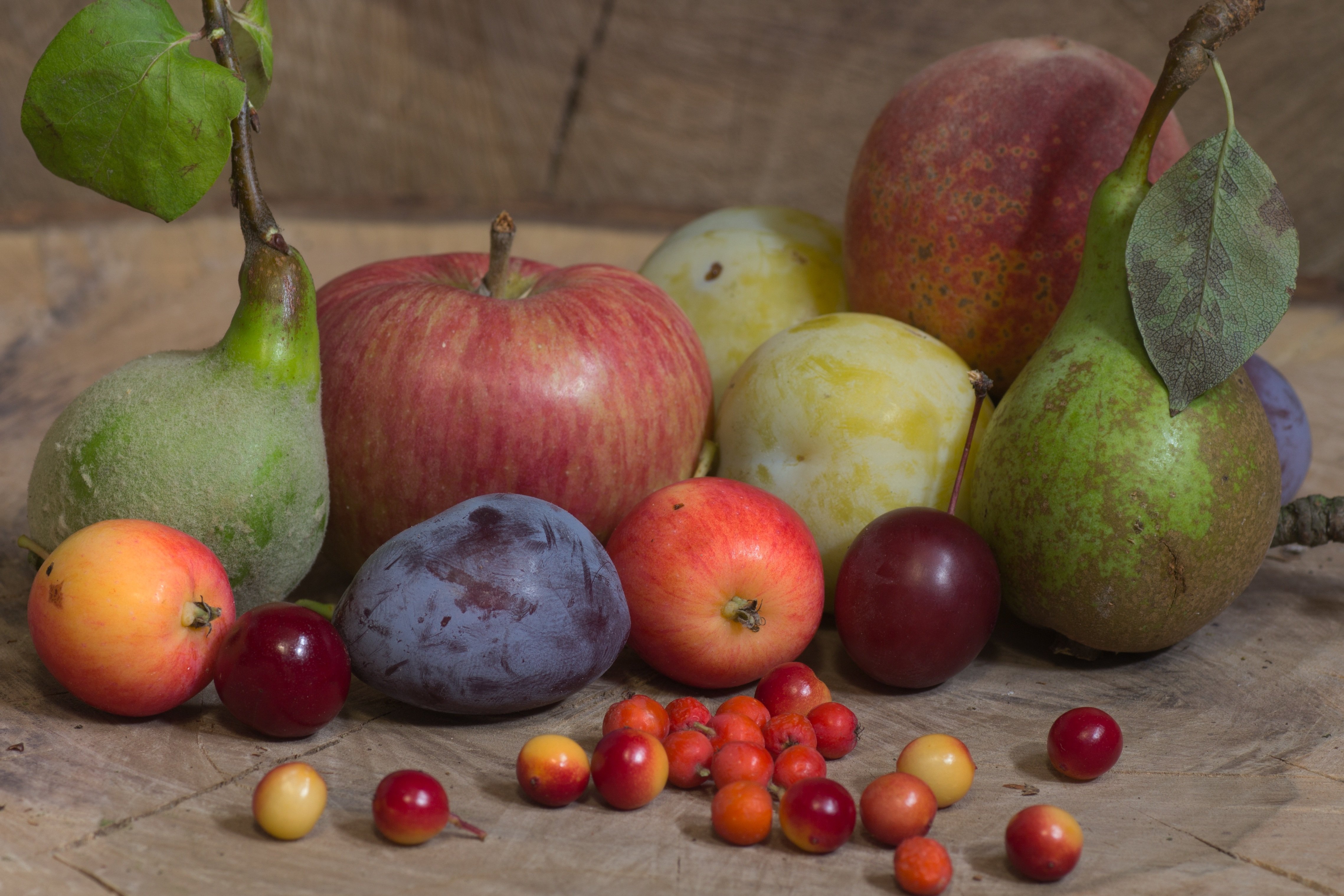 Яблоко фрукт или овощ. Натюрморт с фруктами. Натюрморт с яблоками. Фрукты яблоки груши.