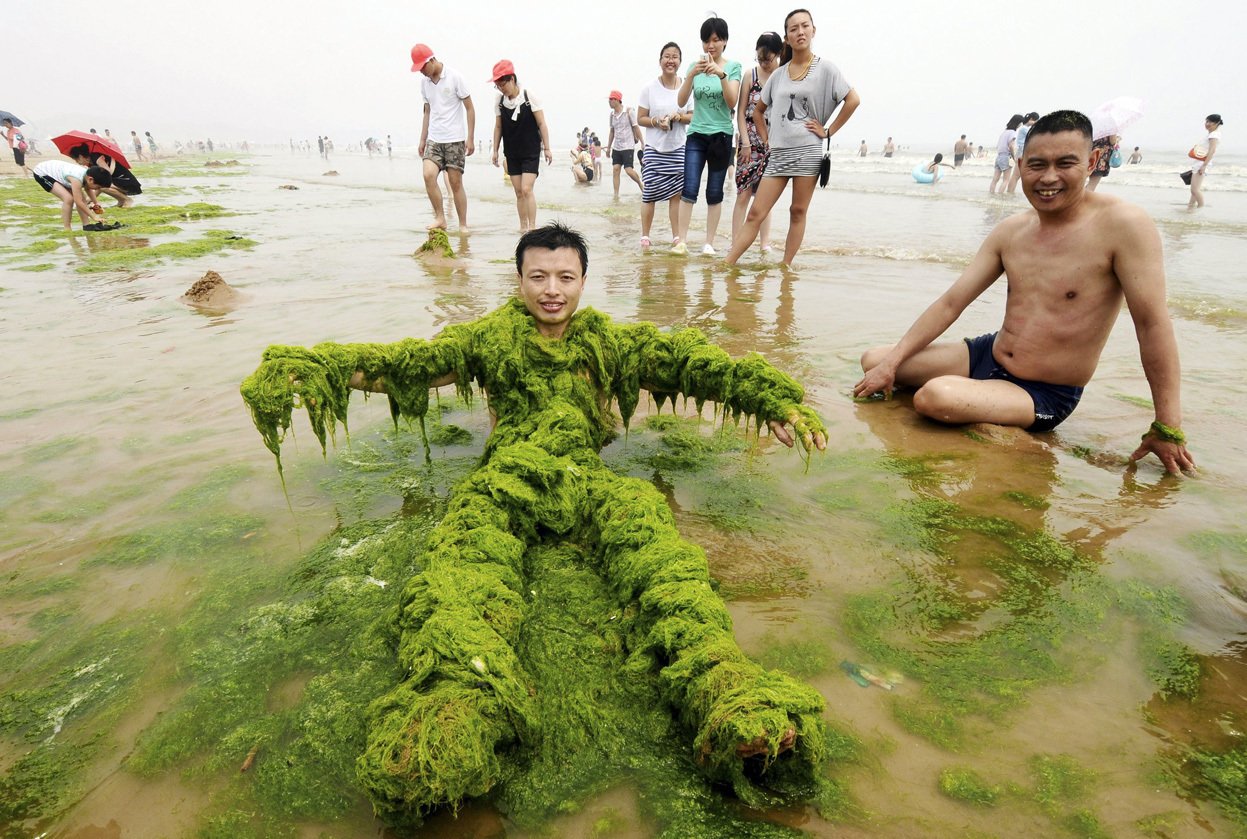 Водоросли в реке под водой