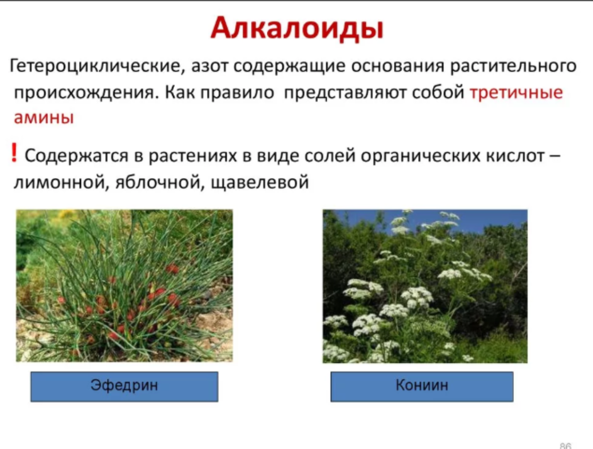 Примеры растительного происхождения. Алкалоиды в растениях. Алкалоиды растительного происхождения. Алкалоиды это. Алкалоиды примеры.