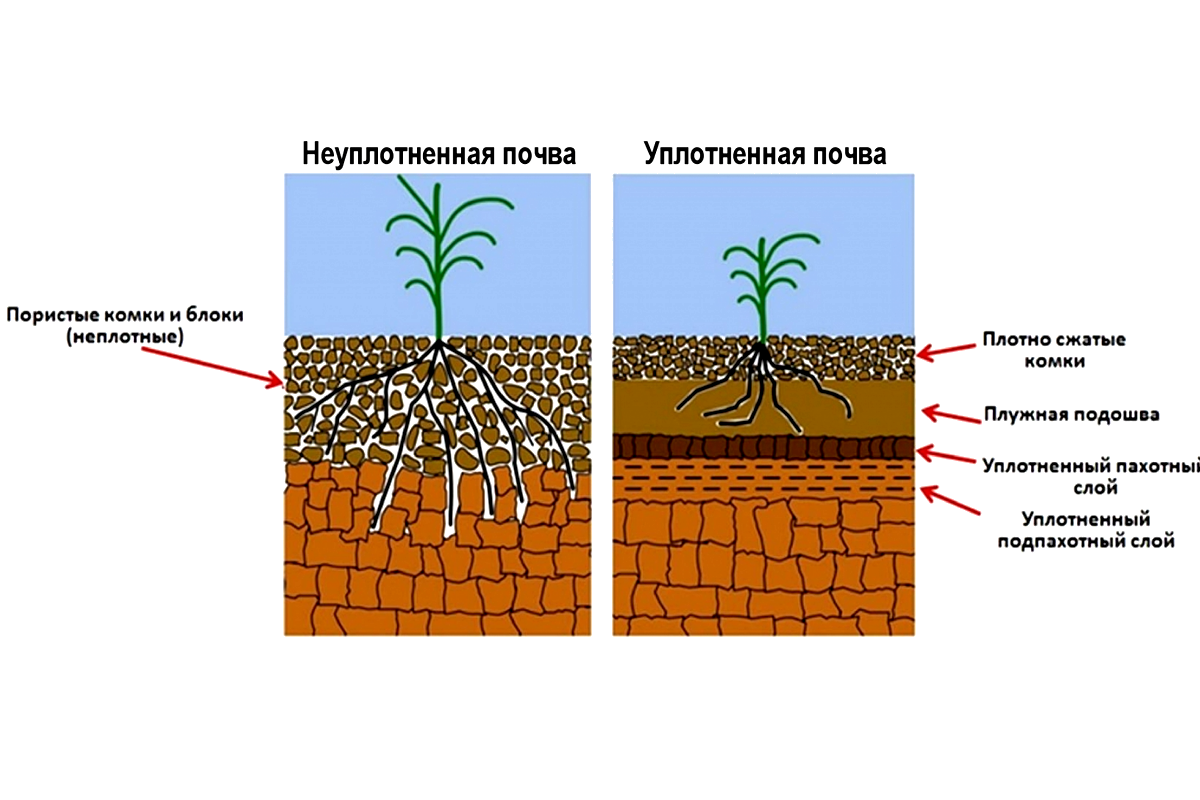 От какого фактора зависит поглощение воды растением. Плужная подошва почвы. Уплотнение почвы. Переуплотнение почвы. Уплотненная почва.