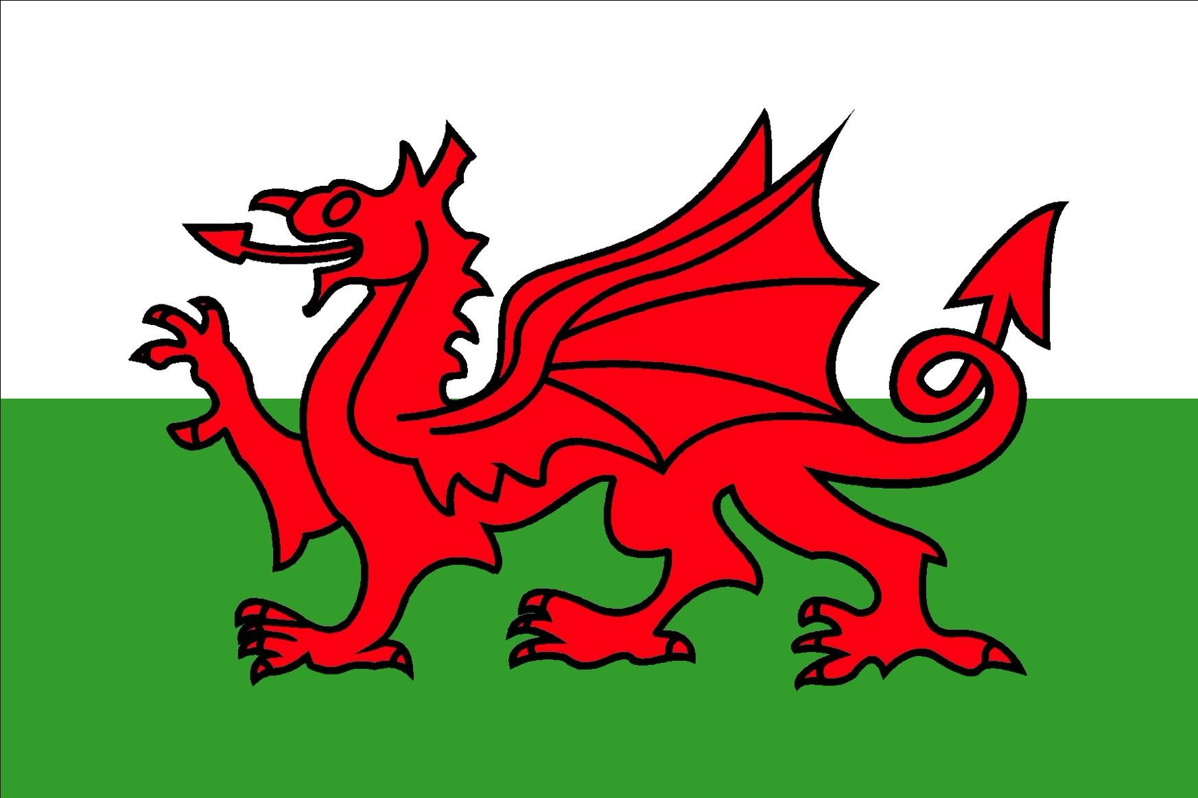 Welsh. Флаг Уэльса. Уэльс флаг флаг. Валлийский дракон флаг Уэльса. Wales Страна флаг.