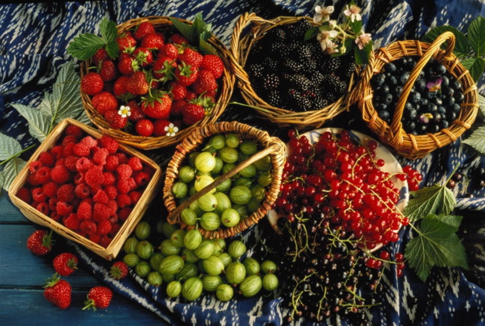 Хорошо лето плодами. Фрукты и ягоды. Плод ягода. Летние ягоды. Урожай ягод.