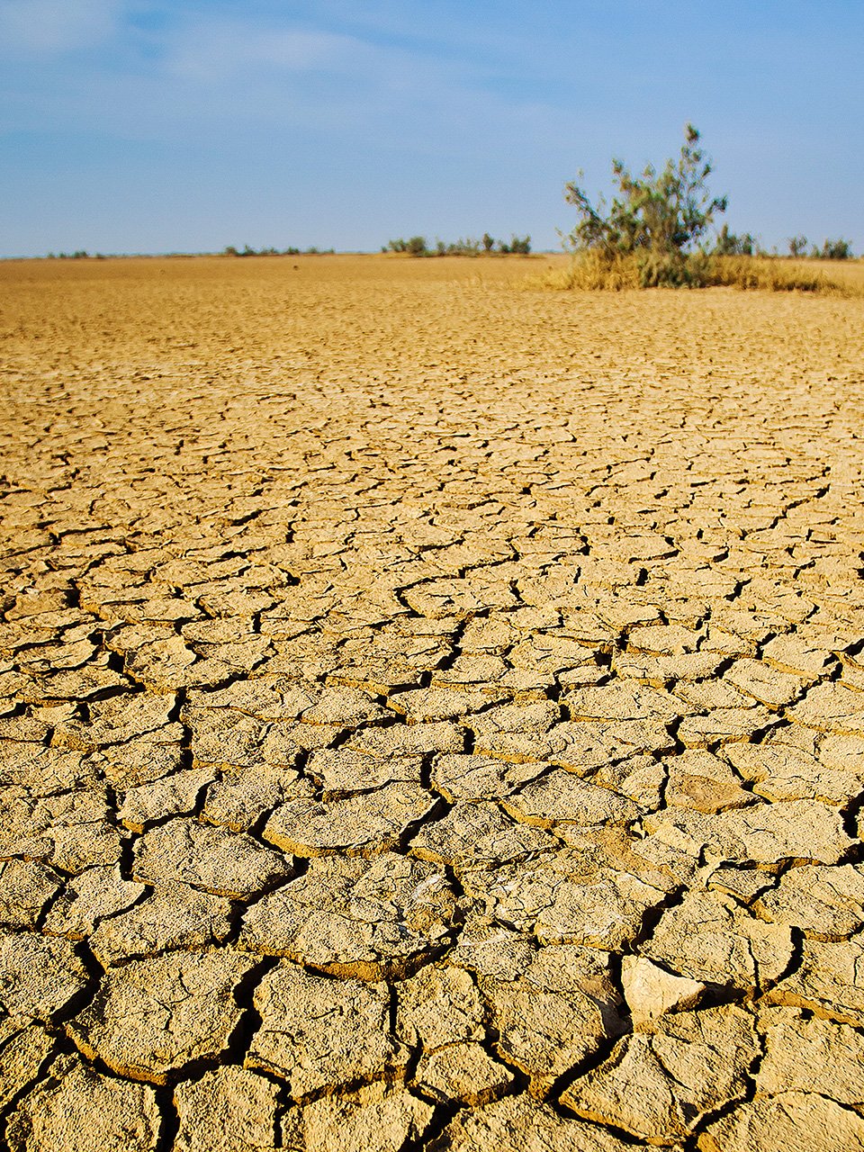Засуха в мире