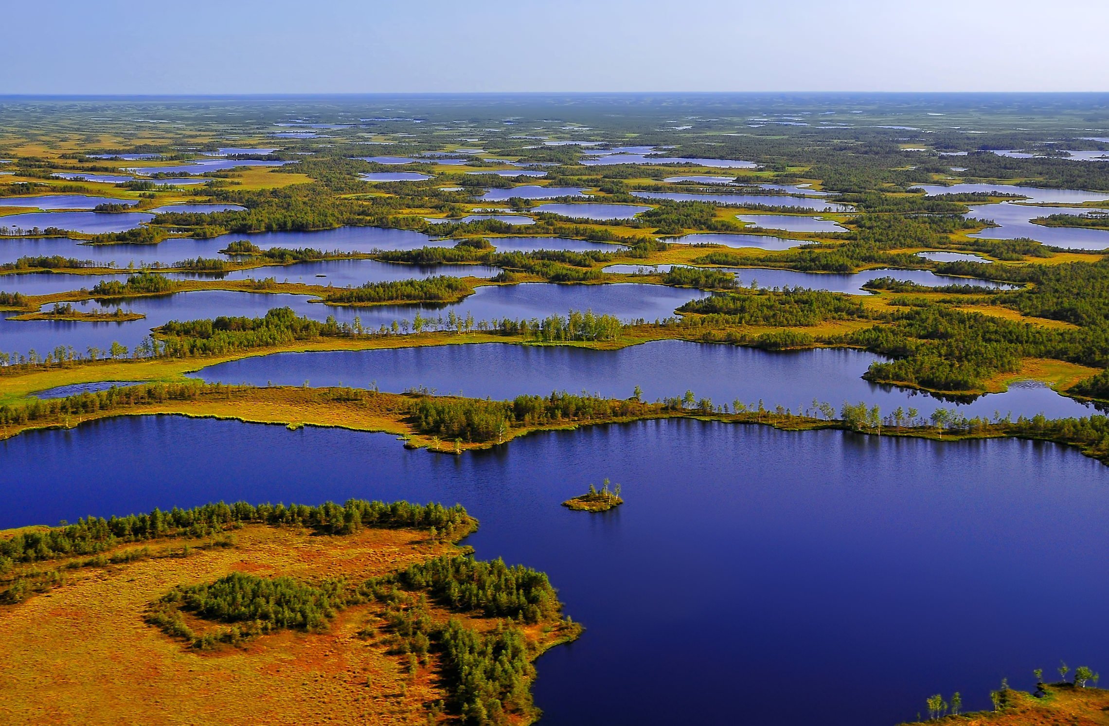 Крупнейшее болото европы. Западно Сибирская равнина Васюганское болото. Васюганские болота Томская область. Васюганское болото заповедник. Болото Васюганское болото.