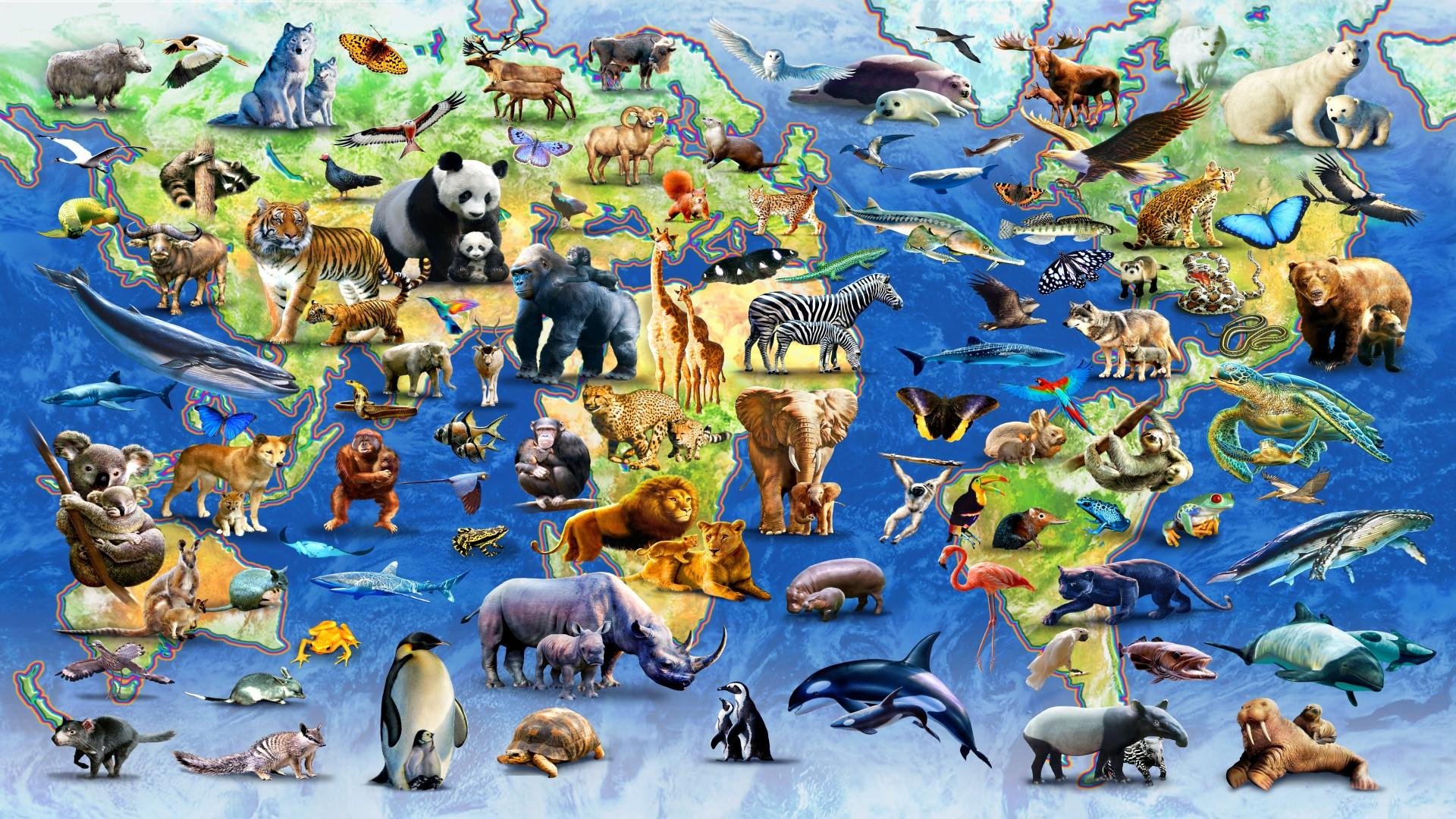Вид живого. Множество животных. Животные земли. Животный мир планеты. Многообразие животного мира.