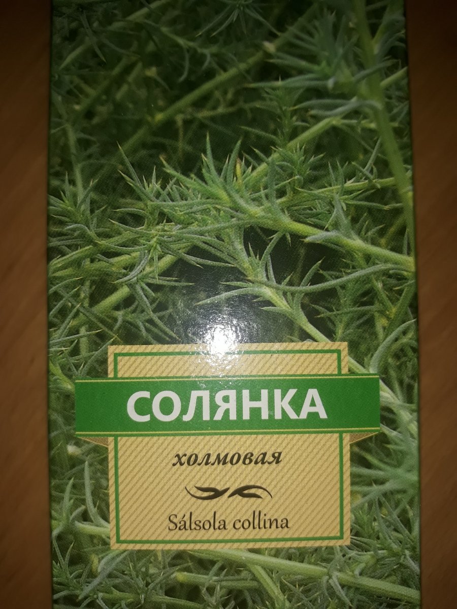 Трава солянки холмовой инструкция по применению. Солянка холмовая. Солянка холмовая трава. Солянка холмовая трава фото. Солянка холмовая Камелия.