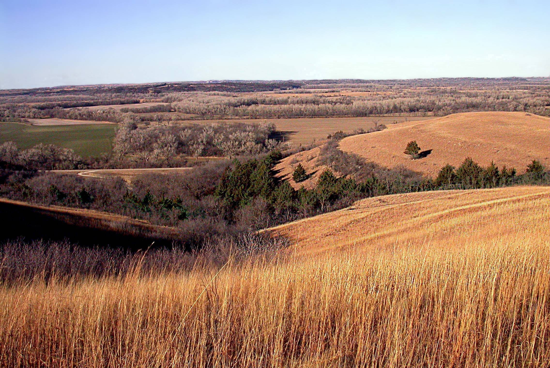 Пшеничный штат Канзас