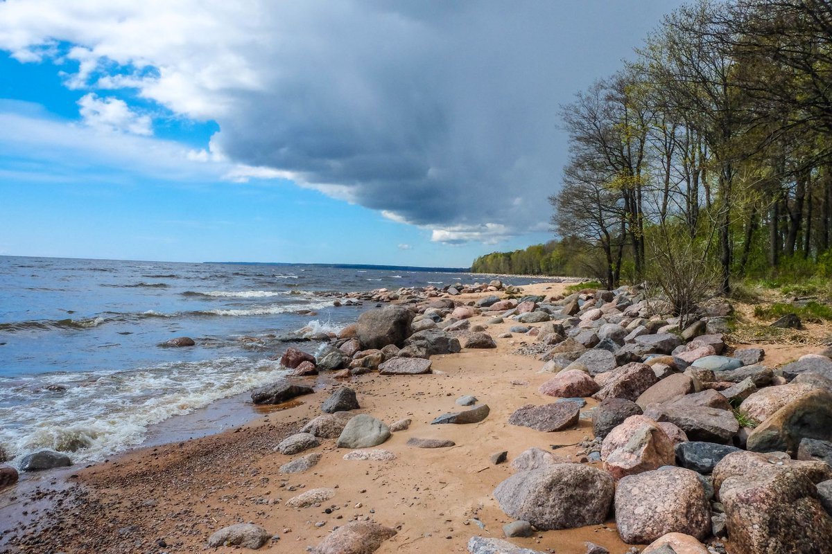 Сестрорецкий курорт природа