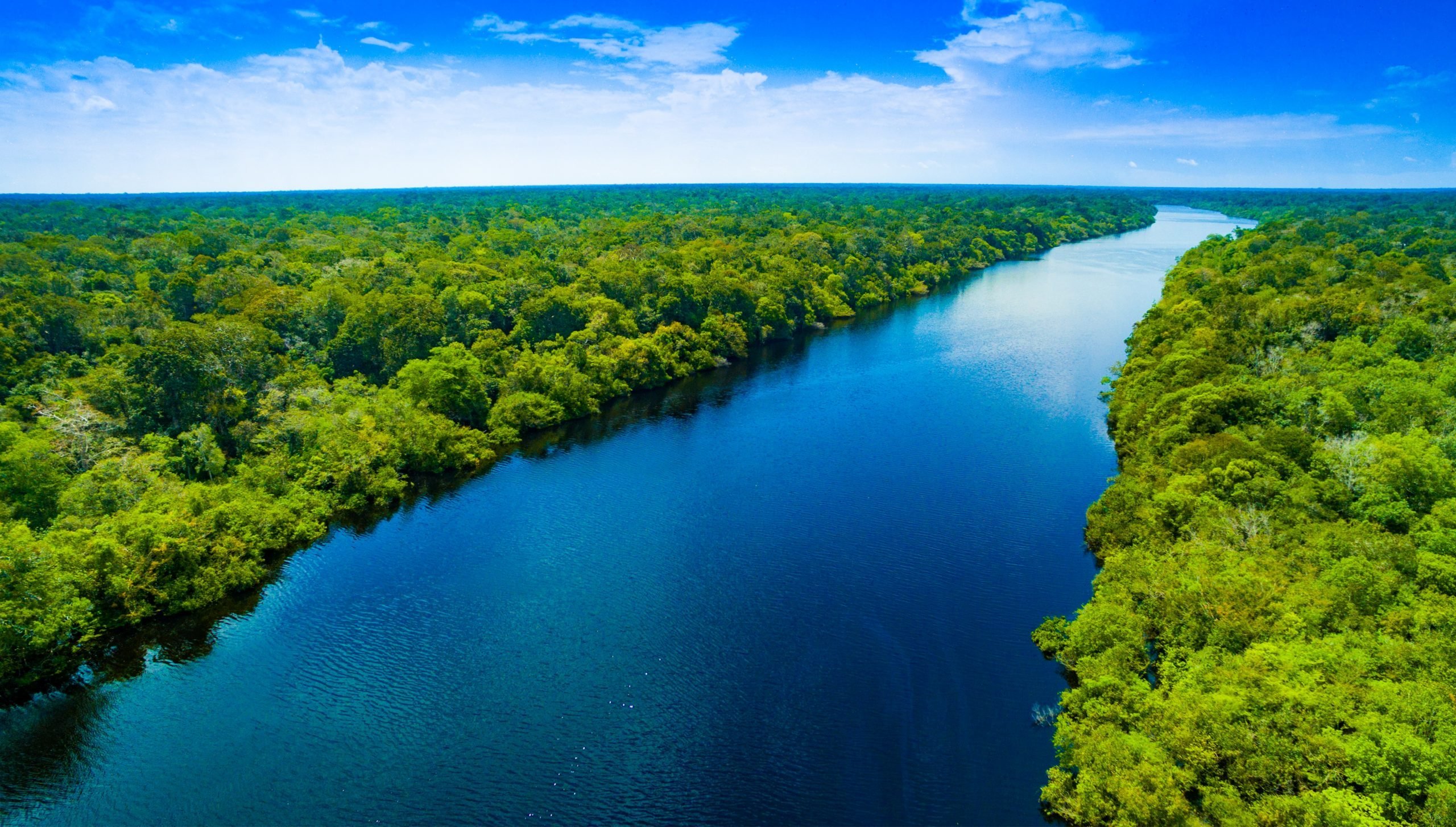 Реки полноводные весь год. Река Амазонка в Бразилии. Природа Бразилии Амазонка. Река Амазонка фото. Амазония Южная Америка.