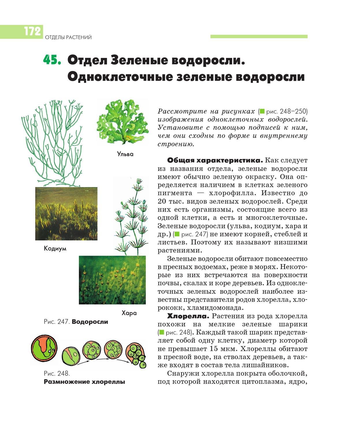 Обитания зеленых водорослей. Зелёные водоросли. Отделы растений. Зеленые водоросли на растениях. Зелёные водоросли отделы растений.