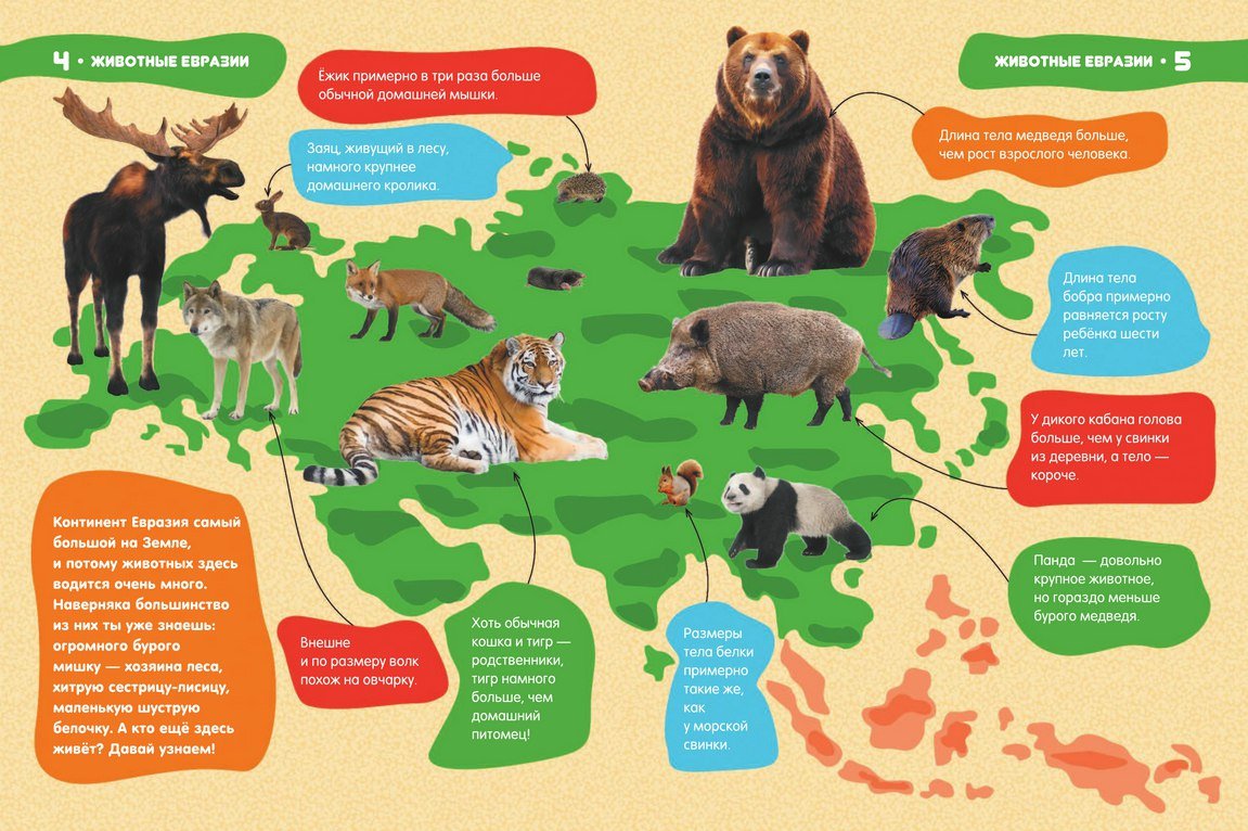 Кто живет в евразии. Животные Евразии. Животные вразии для детей. Животные Евразии для детей. Карта животных Евразии.