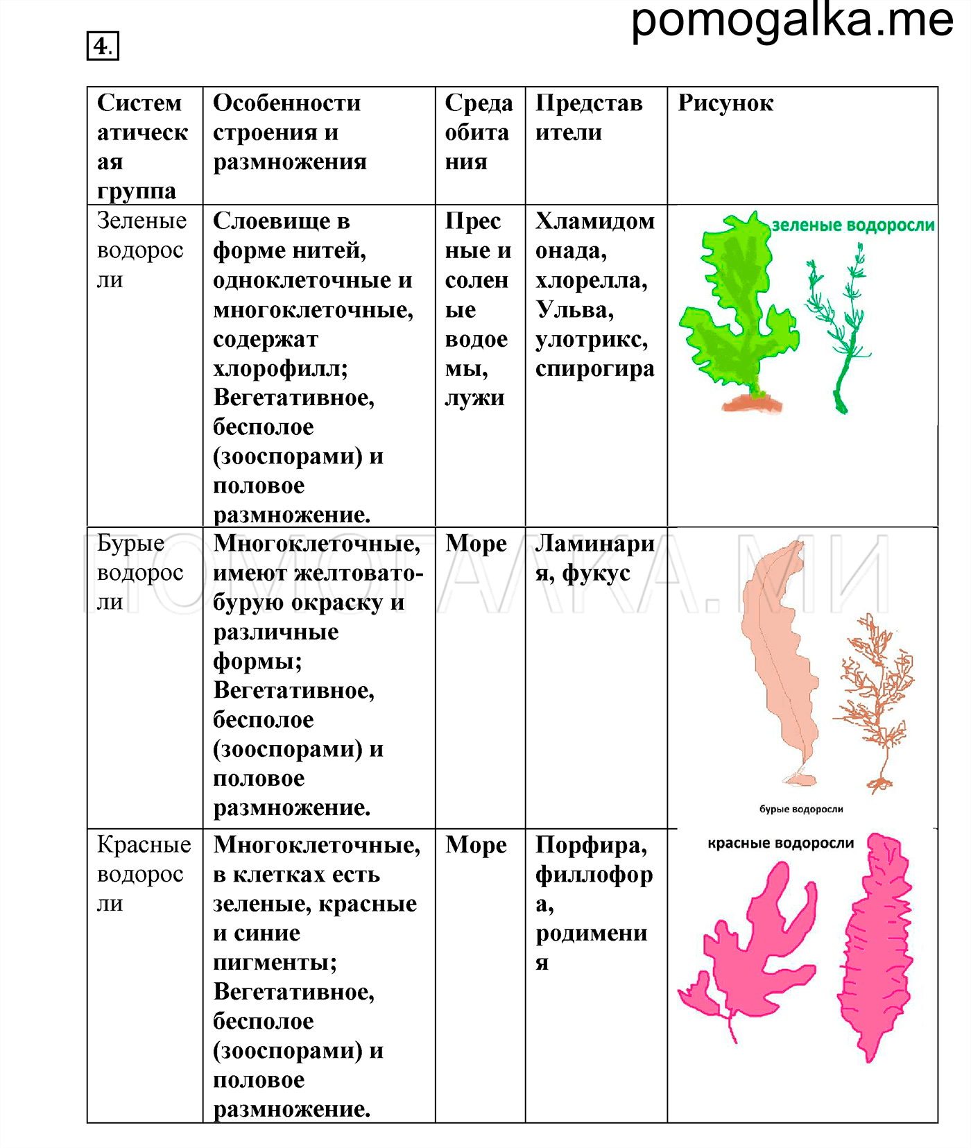 Таблица низшие растения