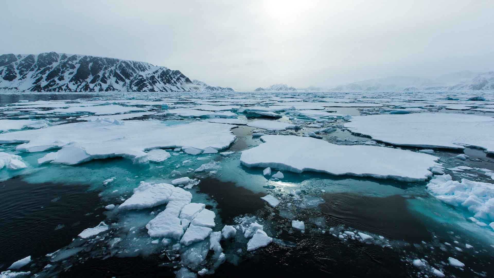 Крупные моря ледовитого океана. Исландия Северный Ледовитый океан. Остров Северный Северный Ледовитый океан. Баренцево море айсберги. Белое море Северный Ледовитый океан.