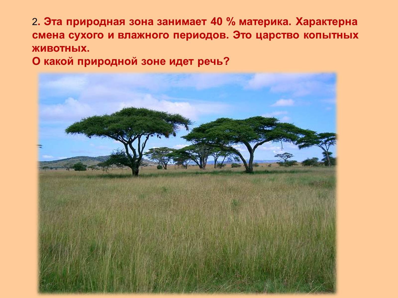 Особенности растительности саванны и редколесья. Зонтичная Акация природная зона. Растения саванны и редколесья Африки. Саванна это природная зона. Зона саванн в Африке.
