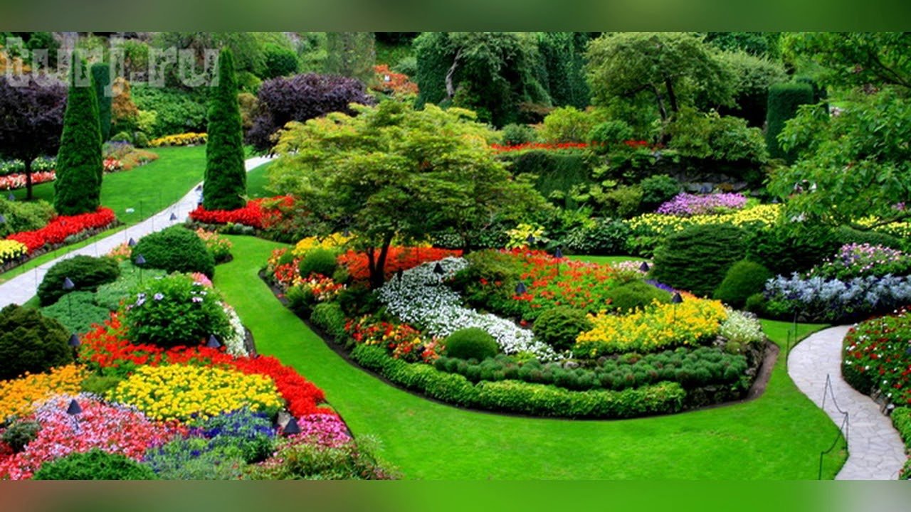 Окружающий мир красота растений. Сады Будхарт. Сады Эдема ландшафтный. Самые красивые сады. Удивительная красота растений в саду.