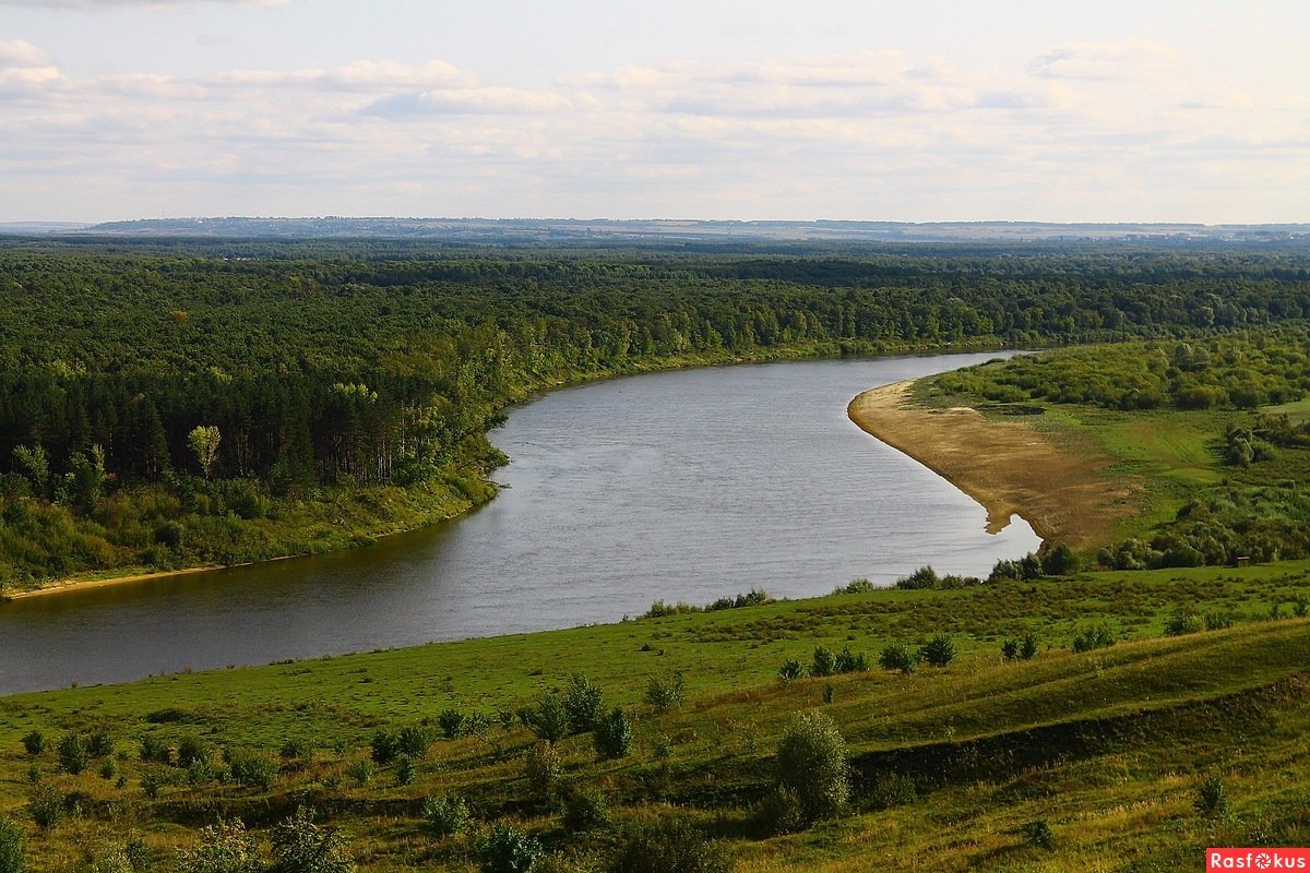 Берега Ветлуги