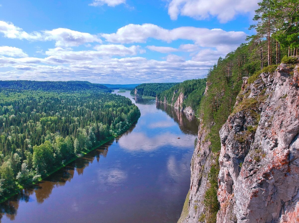 Лес на реке Вишера Пермского края