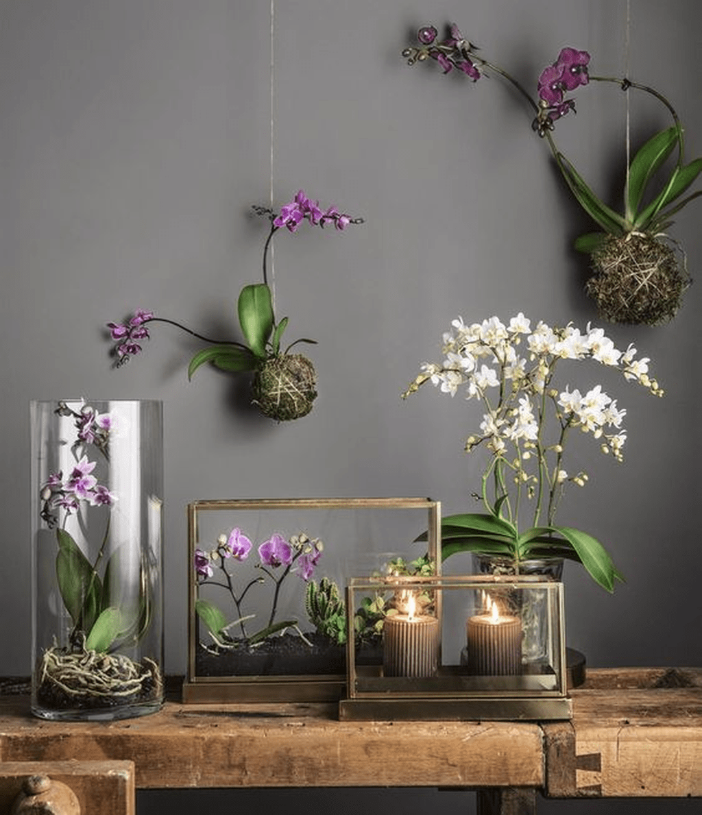 Чувственный цветок орхидеи - потрясающая подборка восхитительных интерьеров с нежными растениями