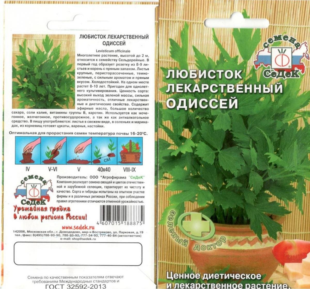 Любисток фото и описание применение растение. Любисток Амур. Любисток семена описание. Гавриш Любисток удалец.