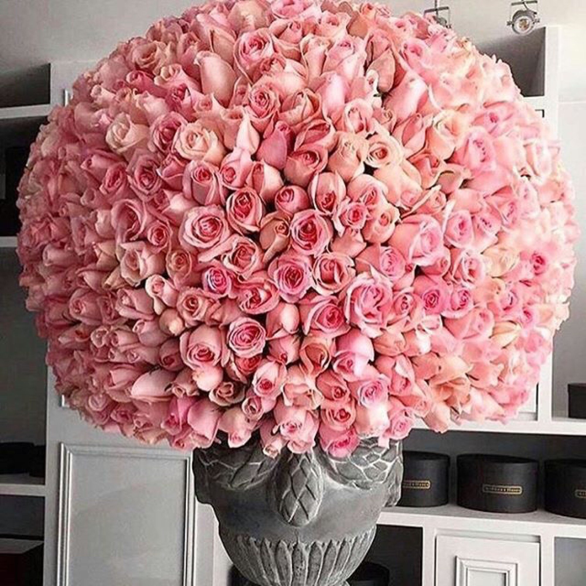Топ самых красивых цветов читайте на сайте Premium-flowers