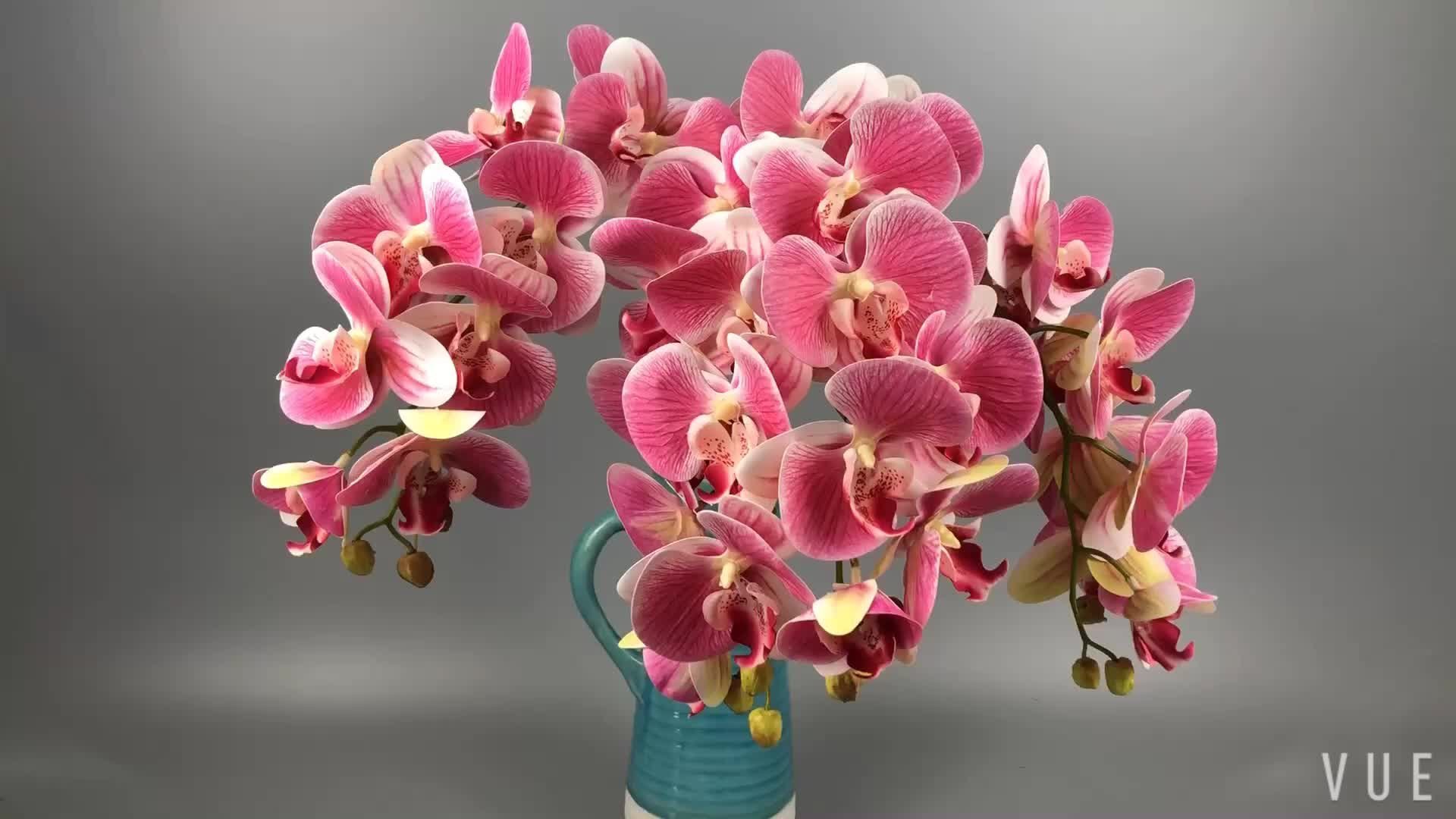 Орхидея Фламинго Джаз