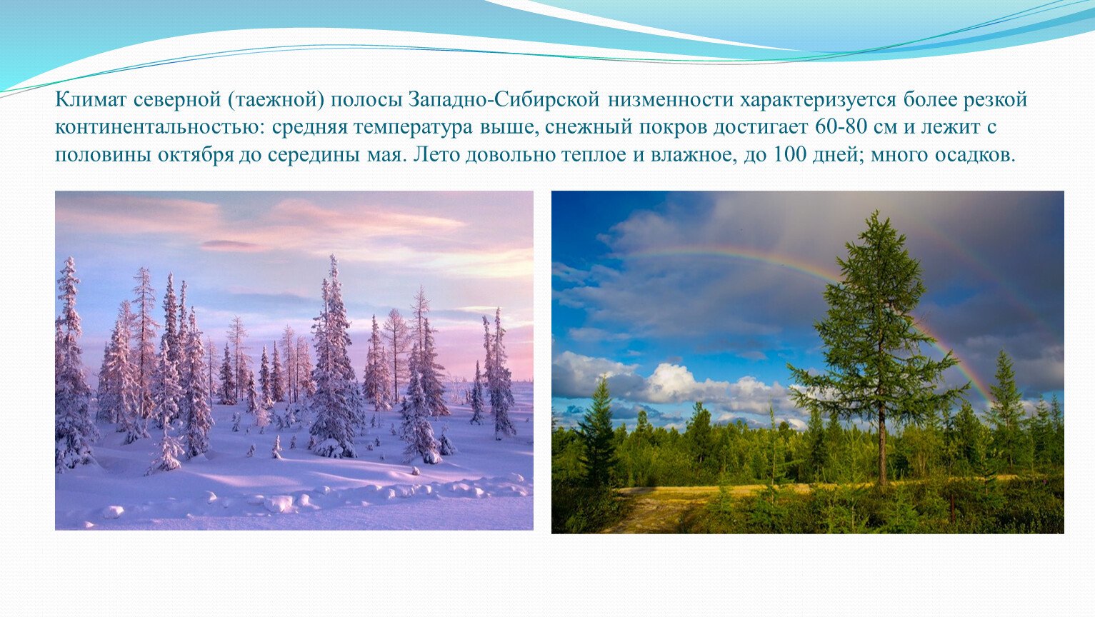 Климат города сибири. За́падно-Сиби́рская равни́на. Ямало-Ненецкий автономный климат. Западно-Сибирская низменность климат. Климат севера-Сибири.