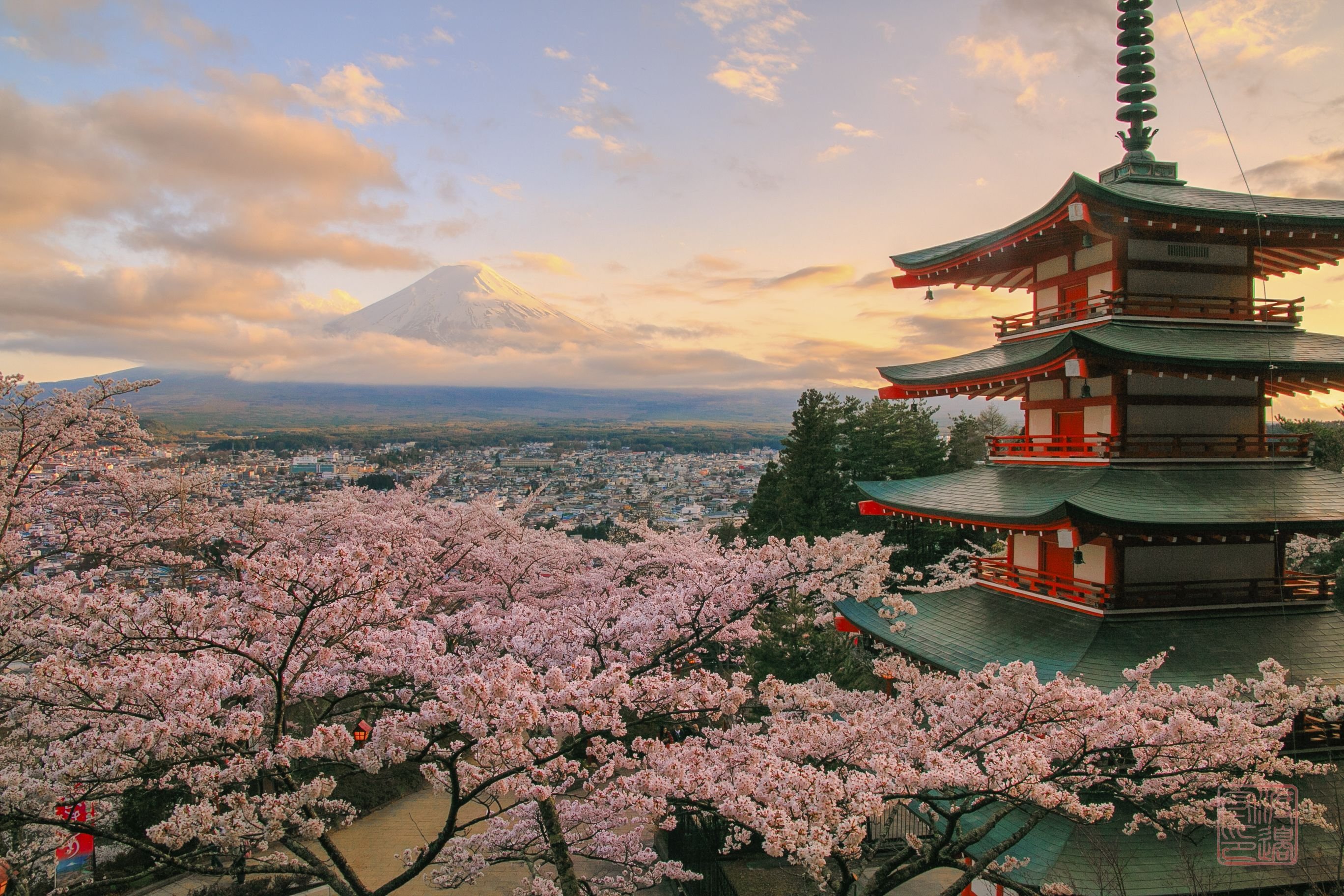 Japan pictures. Фудзияма дворец. Дворец в Японии с сакурой. Императорский дворец Сакура. Южная Корея Сакура и пагоды.