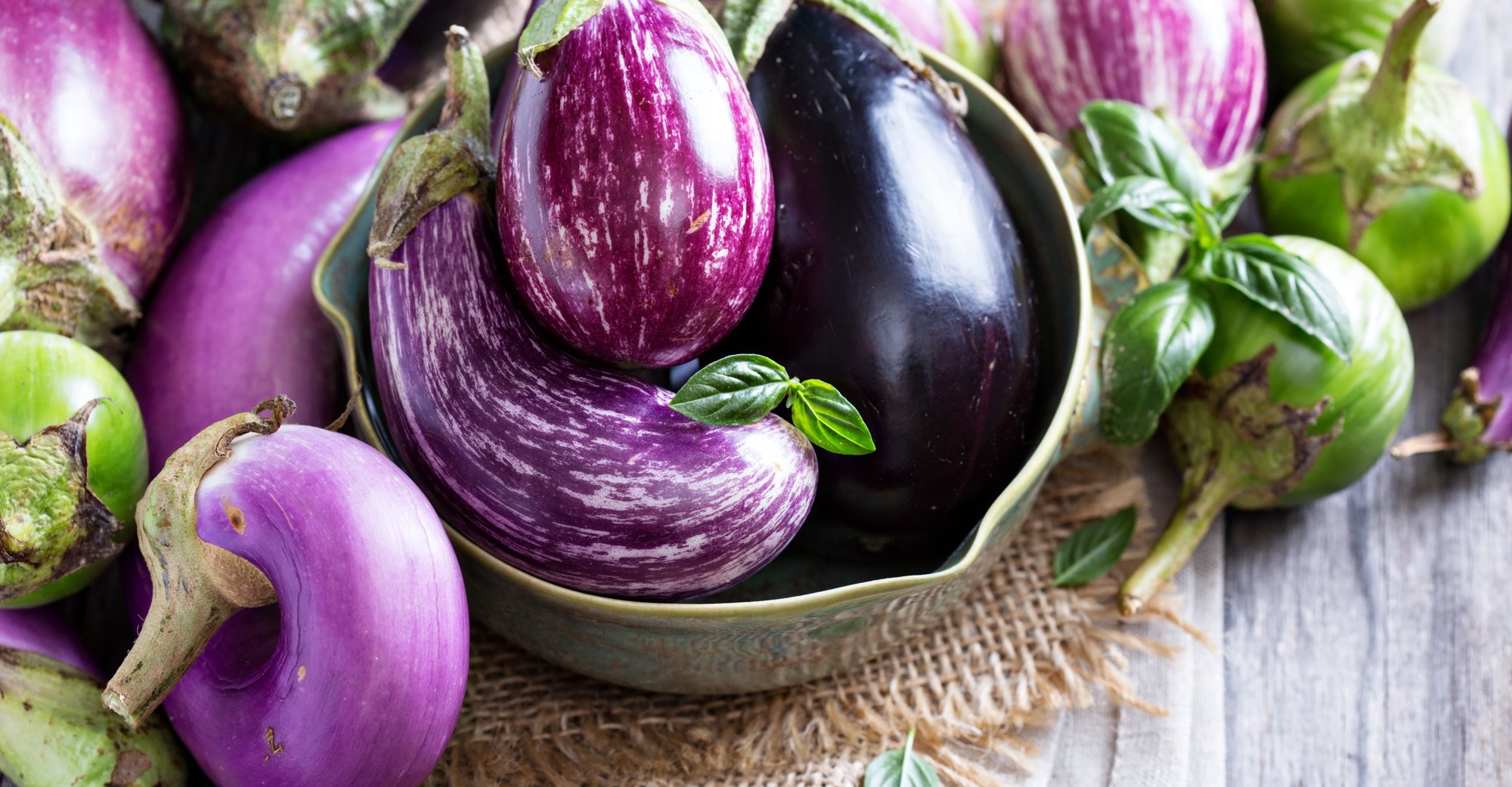 Цветные баклажаны. Паслён баклажан. Баклажан Меланзана сорт. Aubergine Eggplant. Баклажан феньюэн пурпурный (Fengyuan Purple).