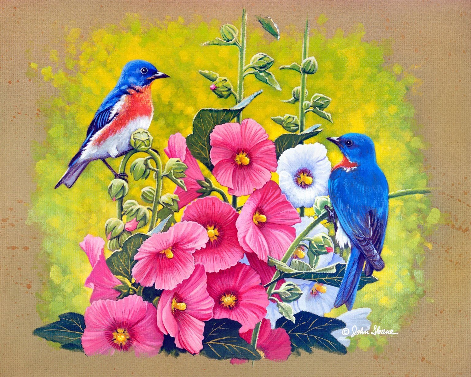 Картины птички с цветами. Сьюзен Бордет Райские птицы. Джон Слоан цветы. Художник Carolyn Shores акварель птицы. Джон Слоан весенние картины.