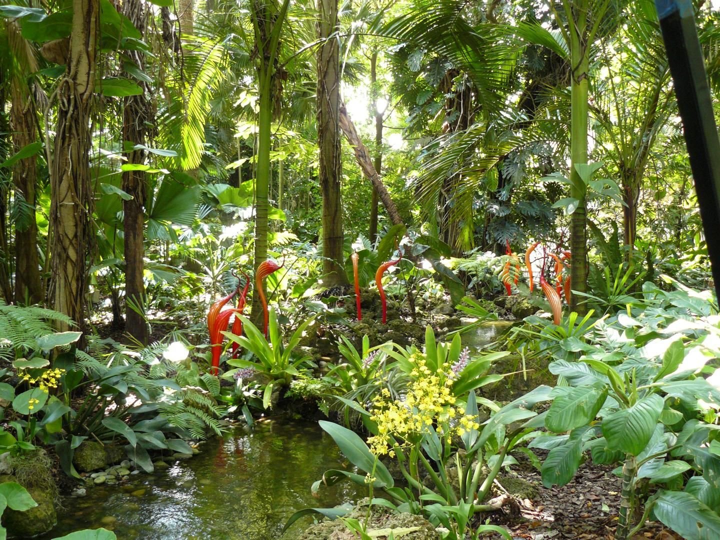 Тропический Ботанический сад Фэйрчайлд. Тропический лес в Майами. Растения в тропиках. Цветы тропического леса.