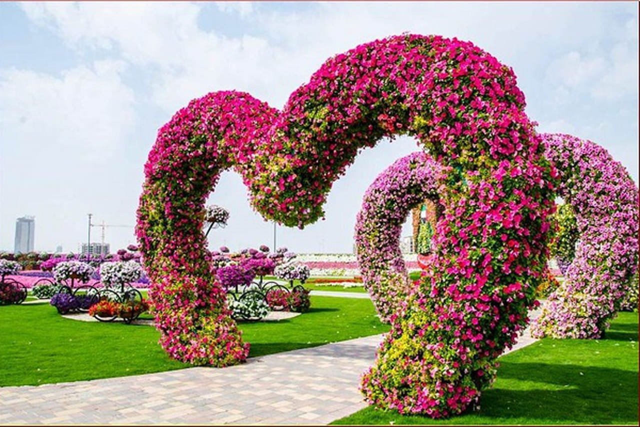 Сами красивая цвети. Miracle Garden Дубай. Парк цветов в Дубае. Фловер Гарден. Цветочный сад.