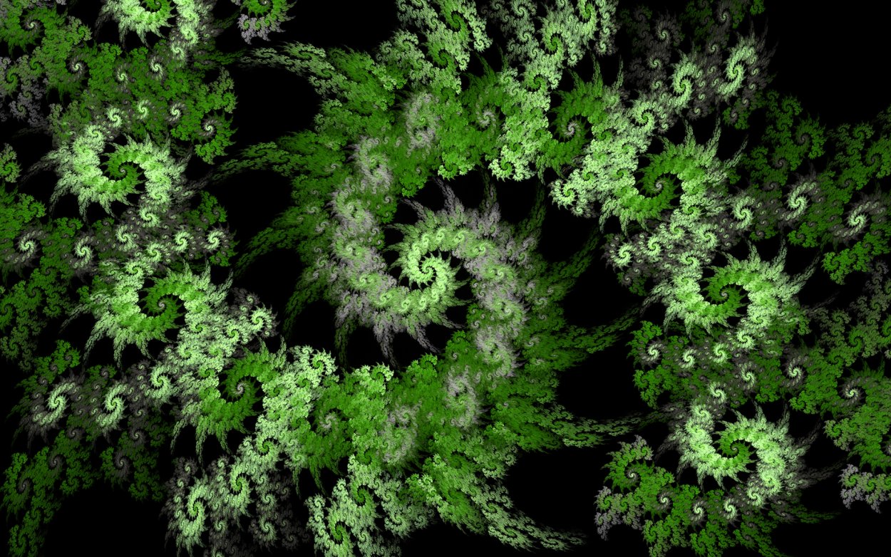 Папоротник нарвов