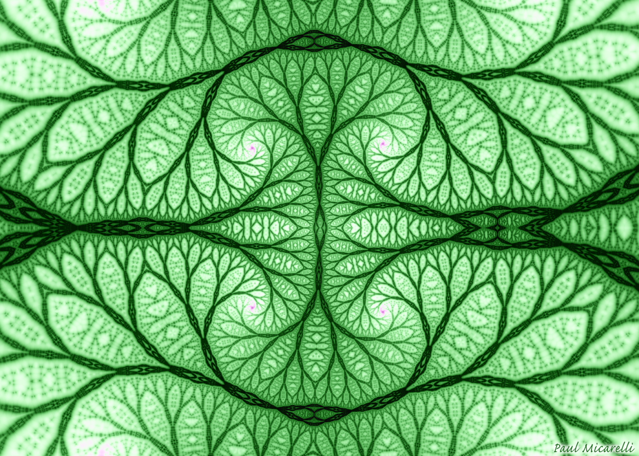 Папоротник текстура