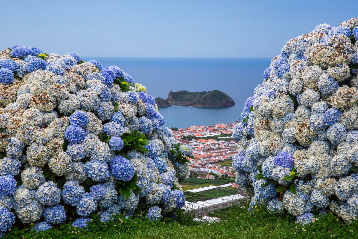 Азорские острова