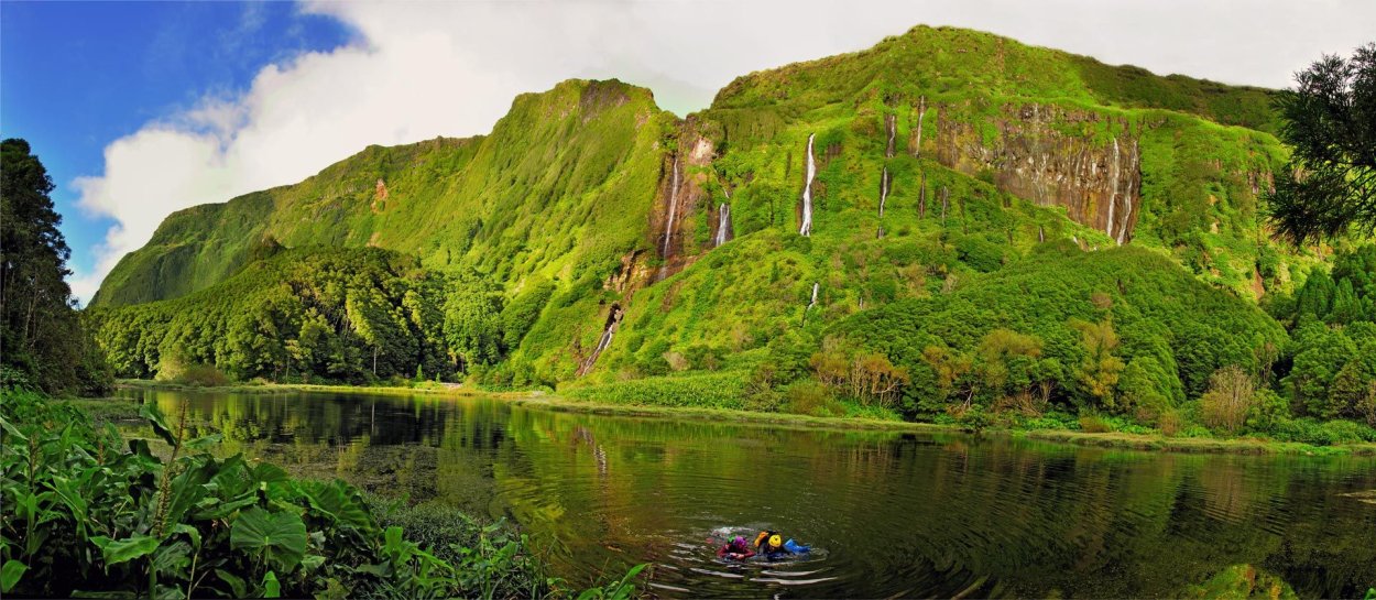 Португалия Азоры острова гортензия