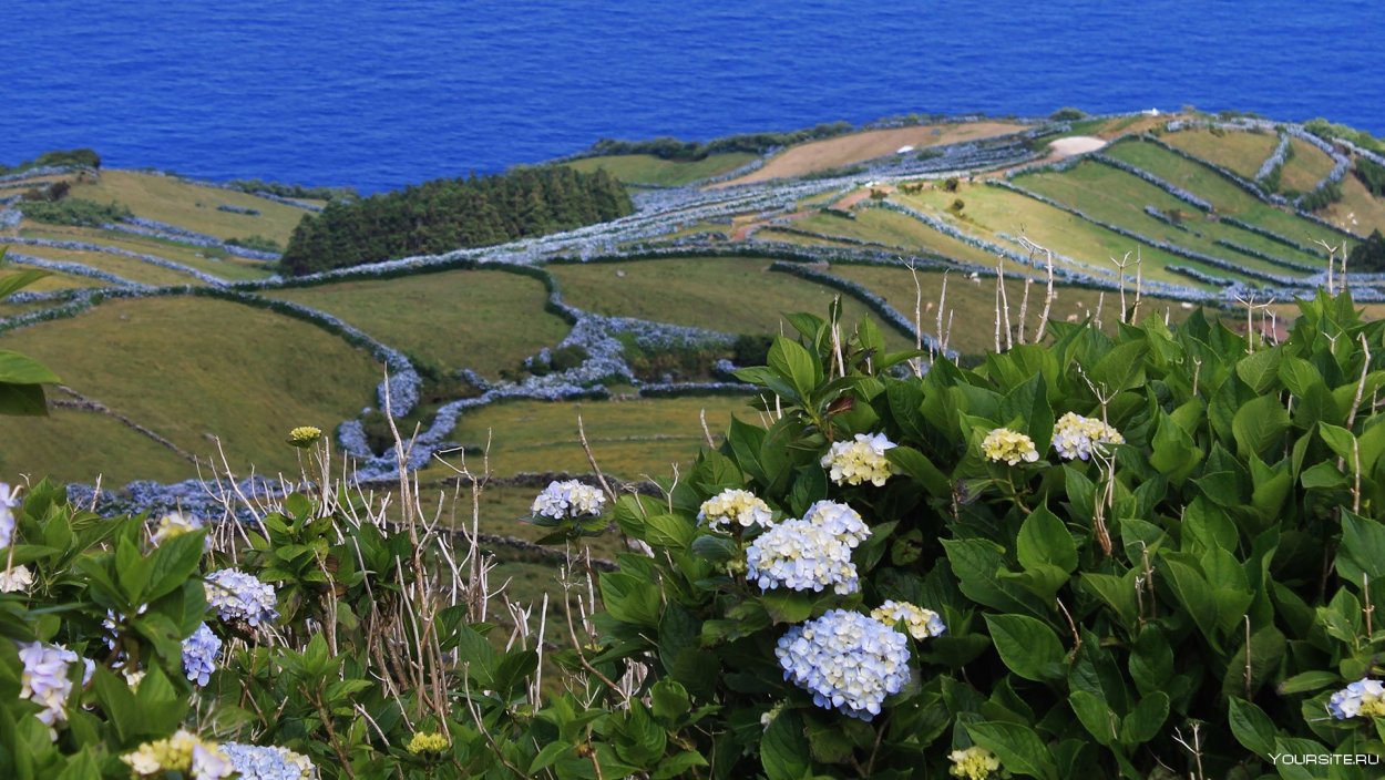 Азорские острова 4к