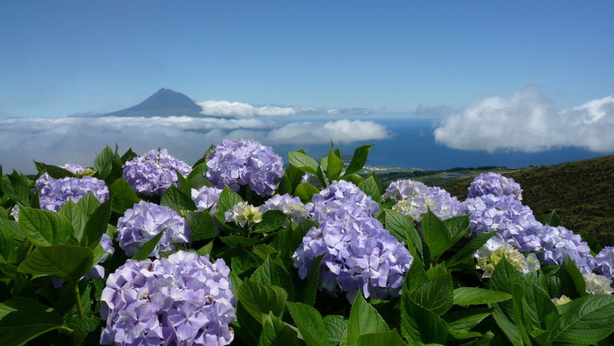 Азорские острова