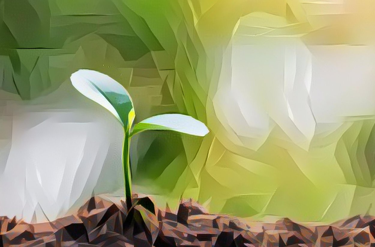 Росток растения