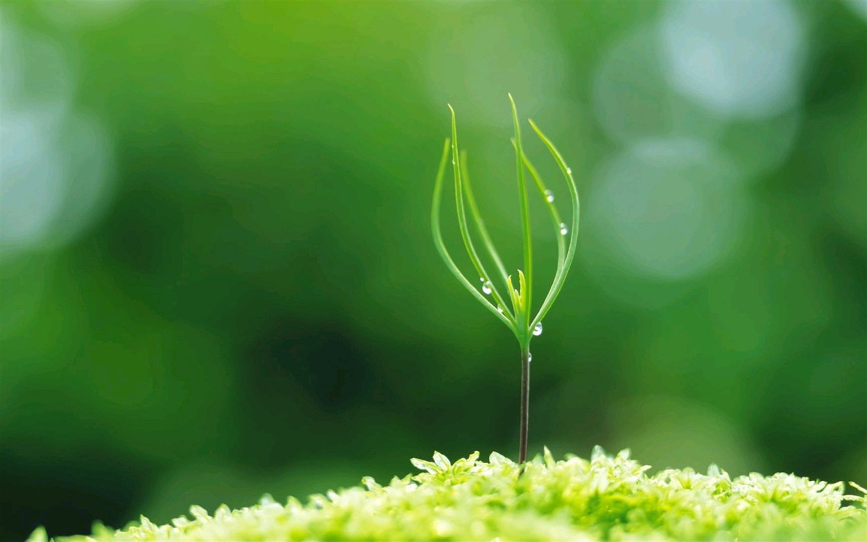 Весна Минимализм