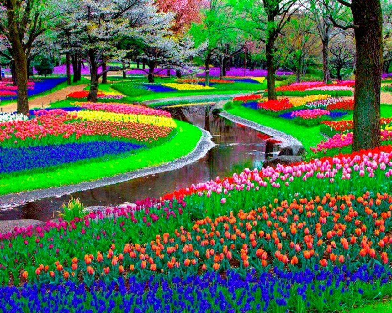 Парк Койкенхоф Голландия