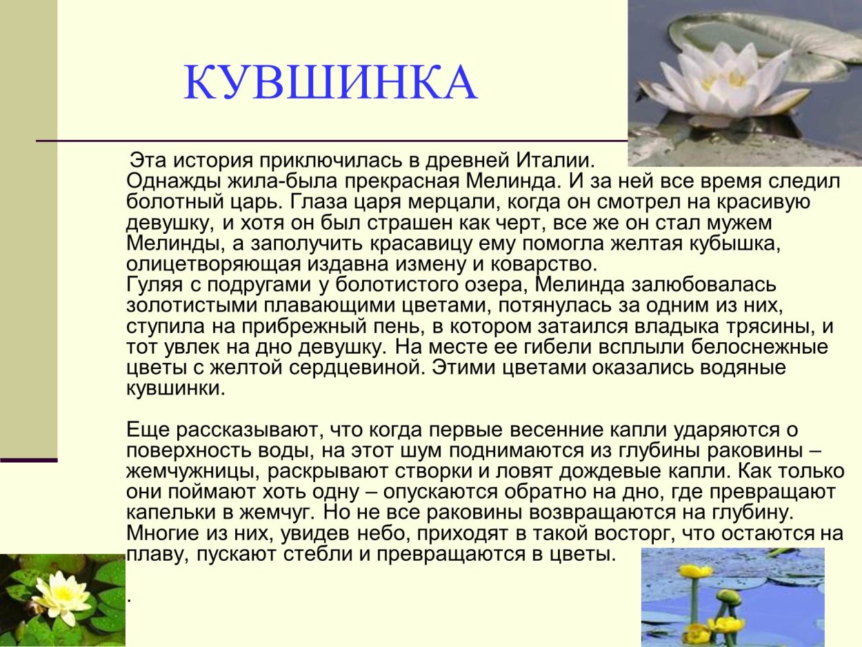 Легенда о кувшинке для детей