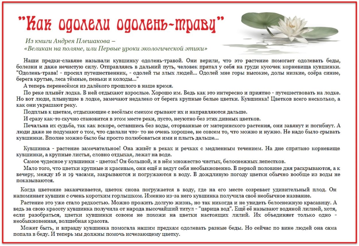 Рассказ о подснежнике