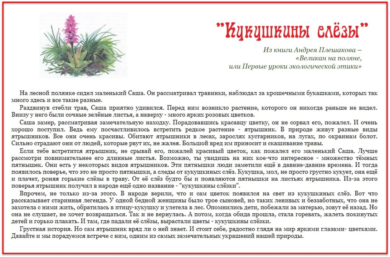 Книга великан на Поляне рассказ Кукушкины слезы