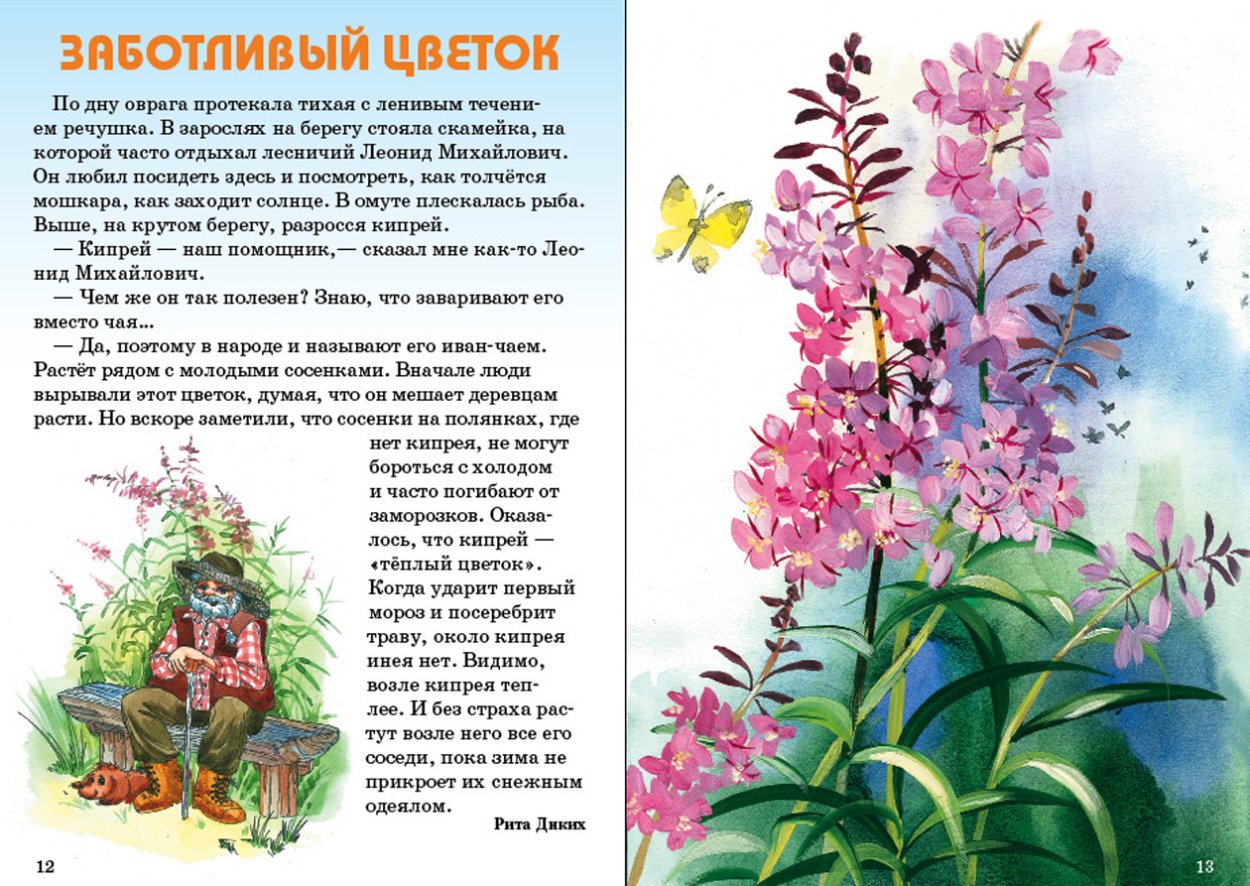 Паустовский заботливый цветок